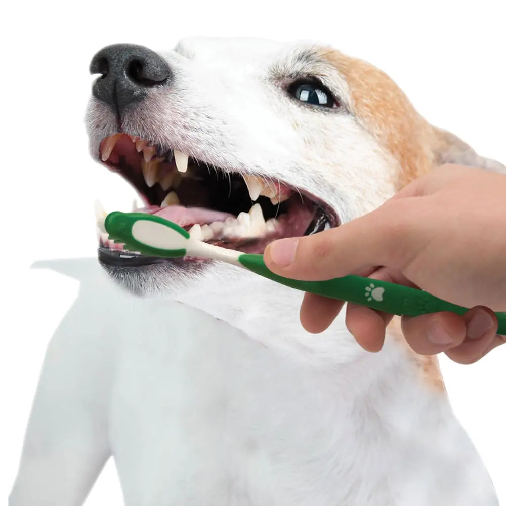 Advanced Oral Care Natural Dental Kit for Dogs - Kellyville Pets