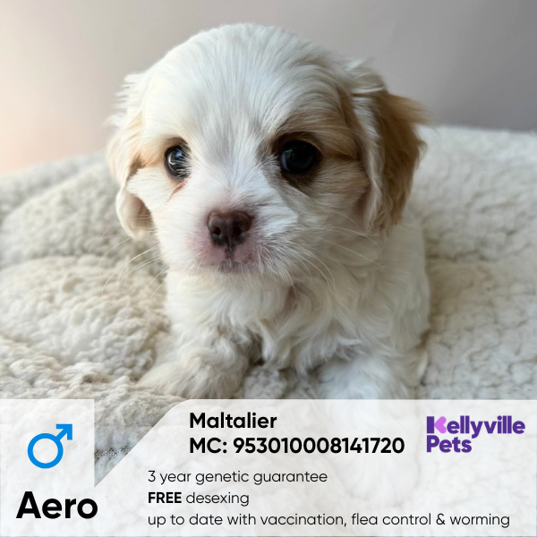 Aero