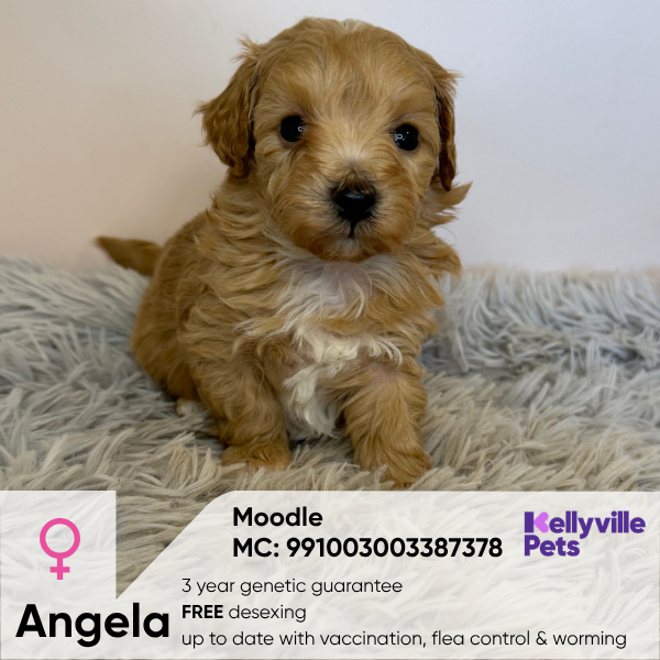 Angela