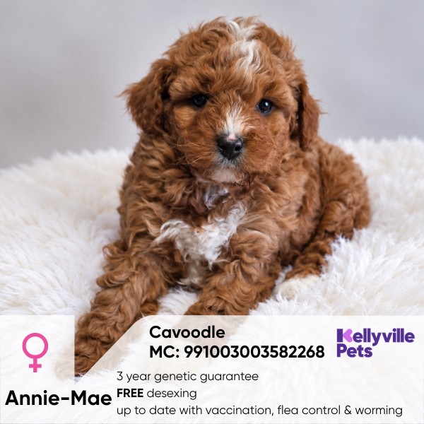 Annie-Mae