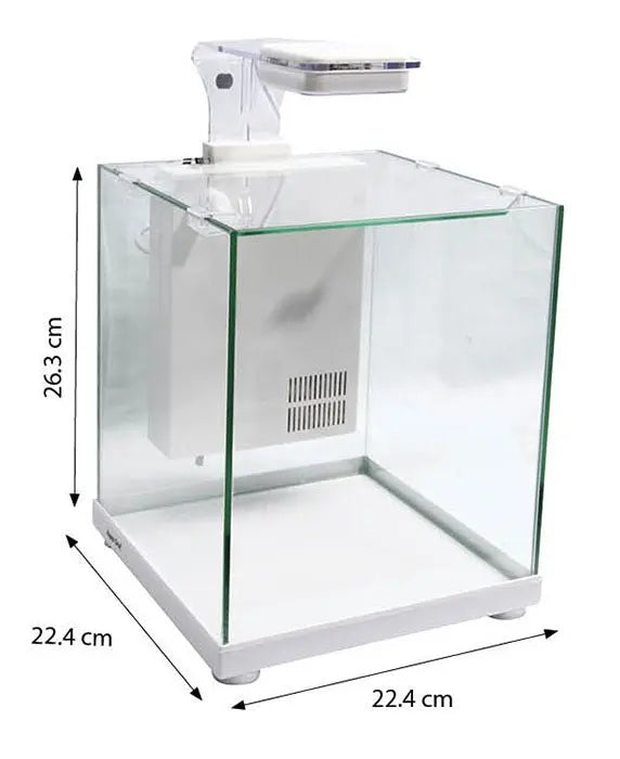 AquaOne Betta Sanctuary 10L Glass Tank - White - Kellyville Pets