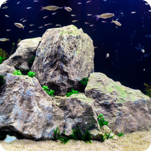 Aquascaping Rock