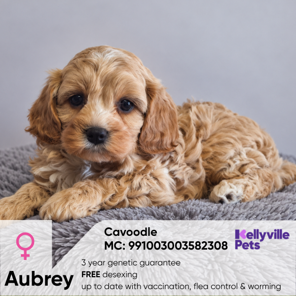 Aubrey
