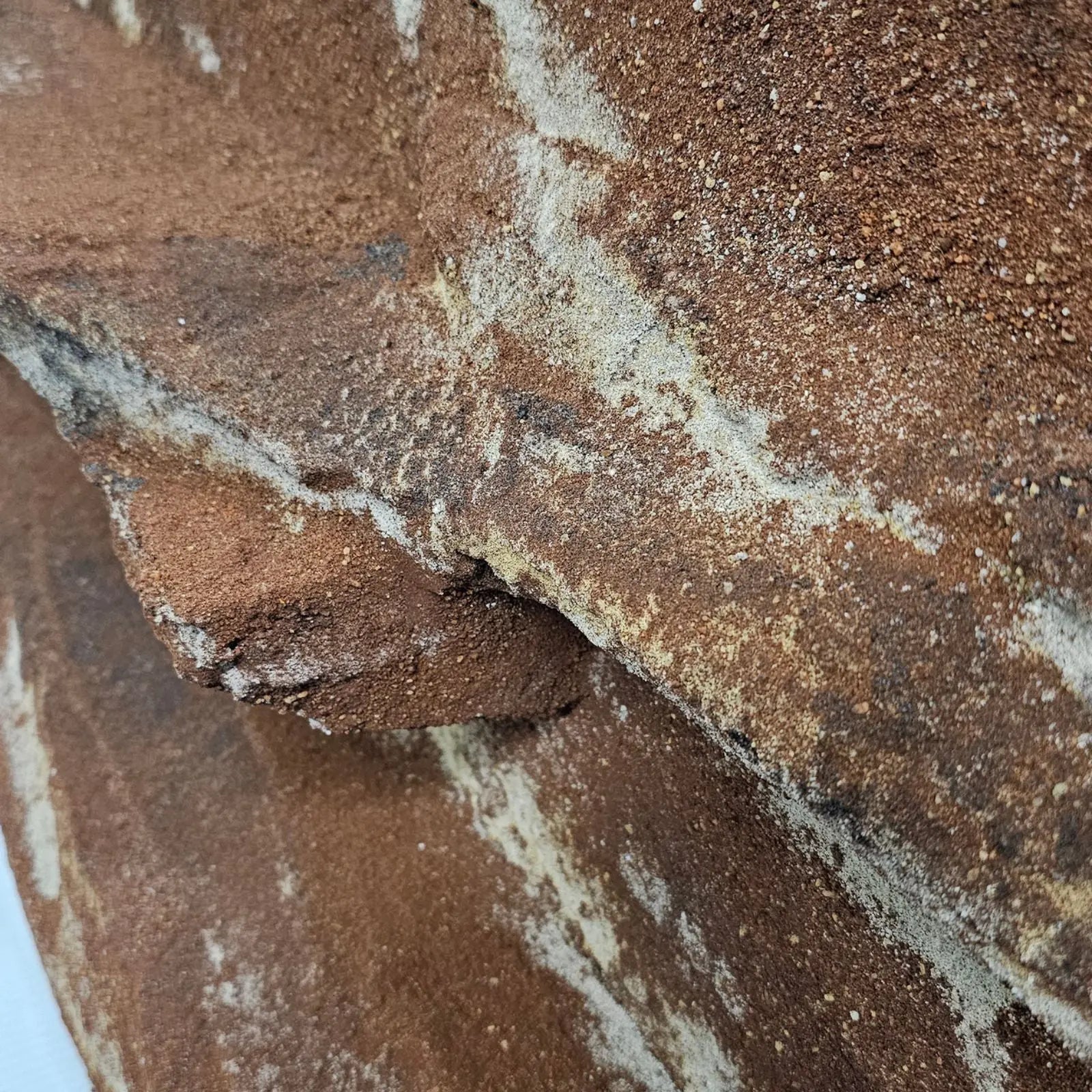 Aussie Deco 120x60cm Deluxe Background Aussie Deco