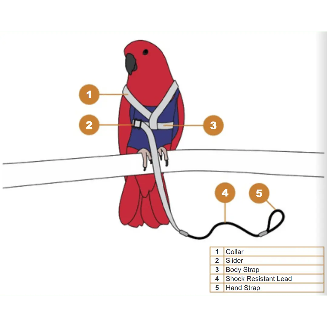 Avi One Bird Harness with Lead - Kellyville Pets