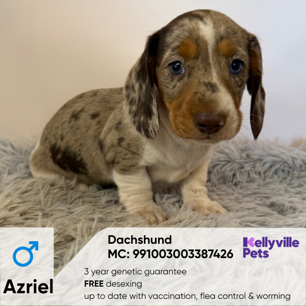 Azriel