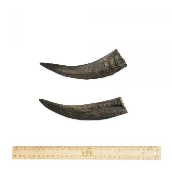 Bark & Beyond Goat Horn - Kellyville Pets