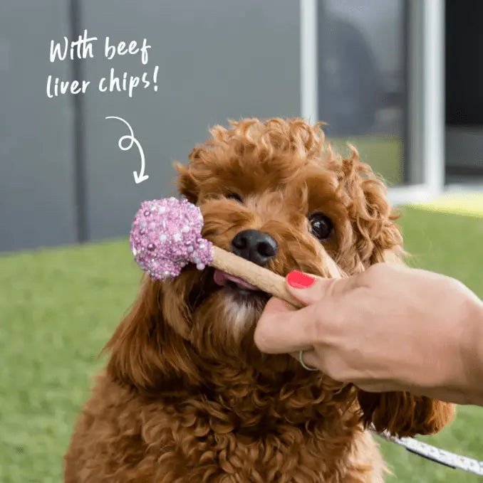 Barney's Barkery Dog Cake Pop - Pink/Purple - Kellyville Pets