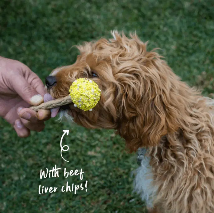 Barney's Barkery Dog Cake Pop - Yellow - Kellyville Pets