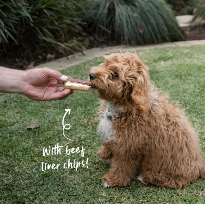 Barney's Barkery Dog Carob Éclair - Kellyville Pets