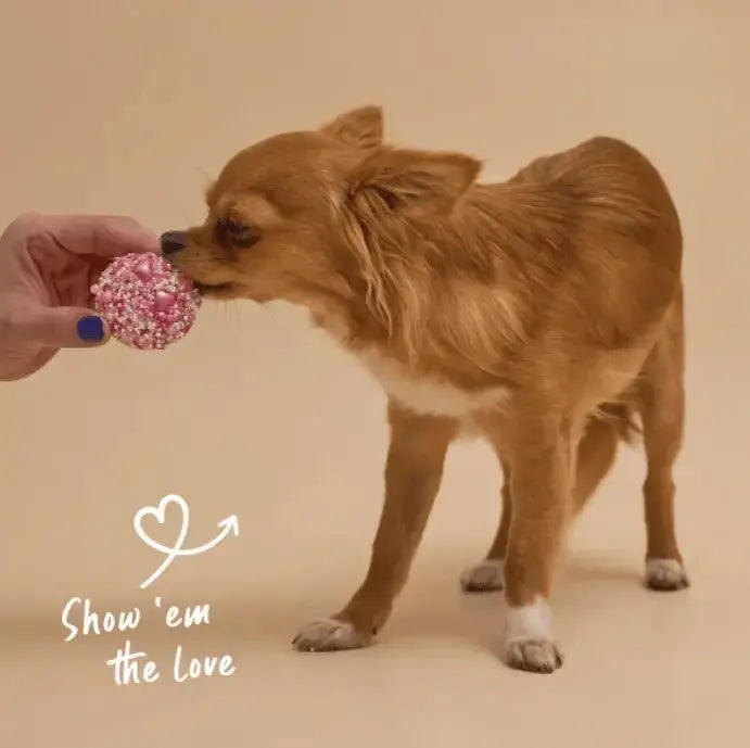 Barney's Barkery Dog Cupcake Duo - Hearts Barneys Barkery