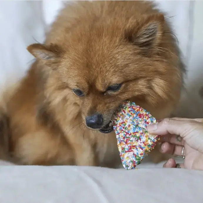 Barney's Barkery Fairy Bread Dog Treat Barneys Barkery