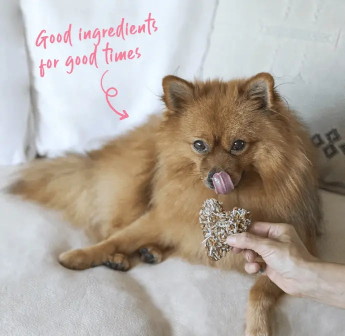 Barney's Barkery Meatlovers Cookie - Chicken - Kellyville Pets