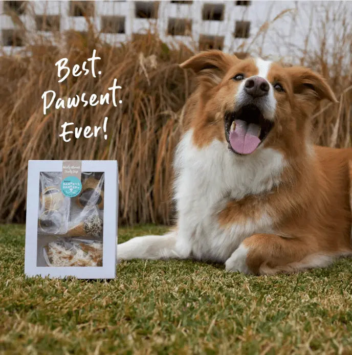 Barney's Barkery Meaty Marvel Pack - Kellyville Pets