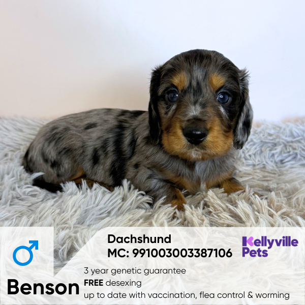 Benson