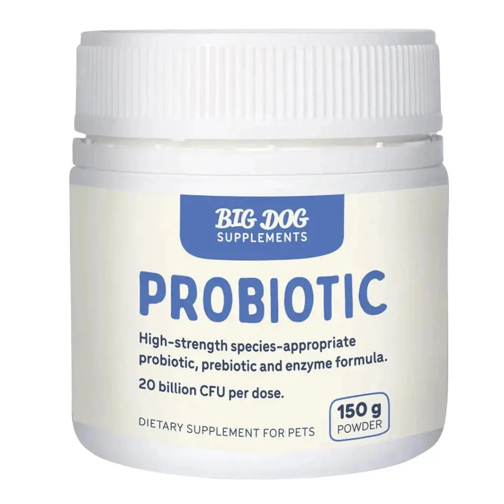 Big Dog Probiotics 150g - Kellyville Pets