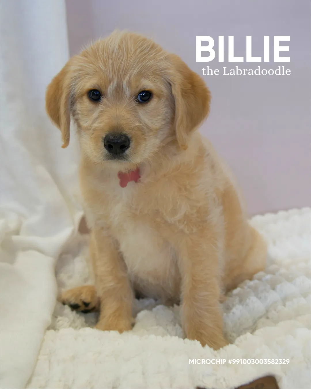 Billie