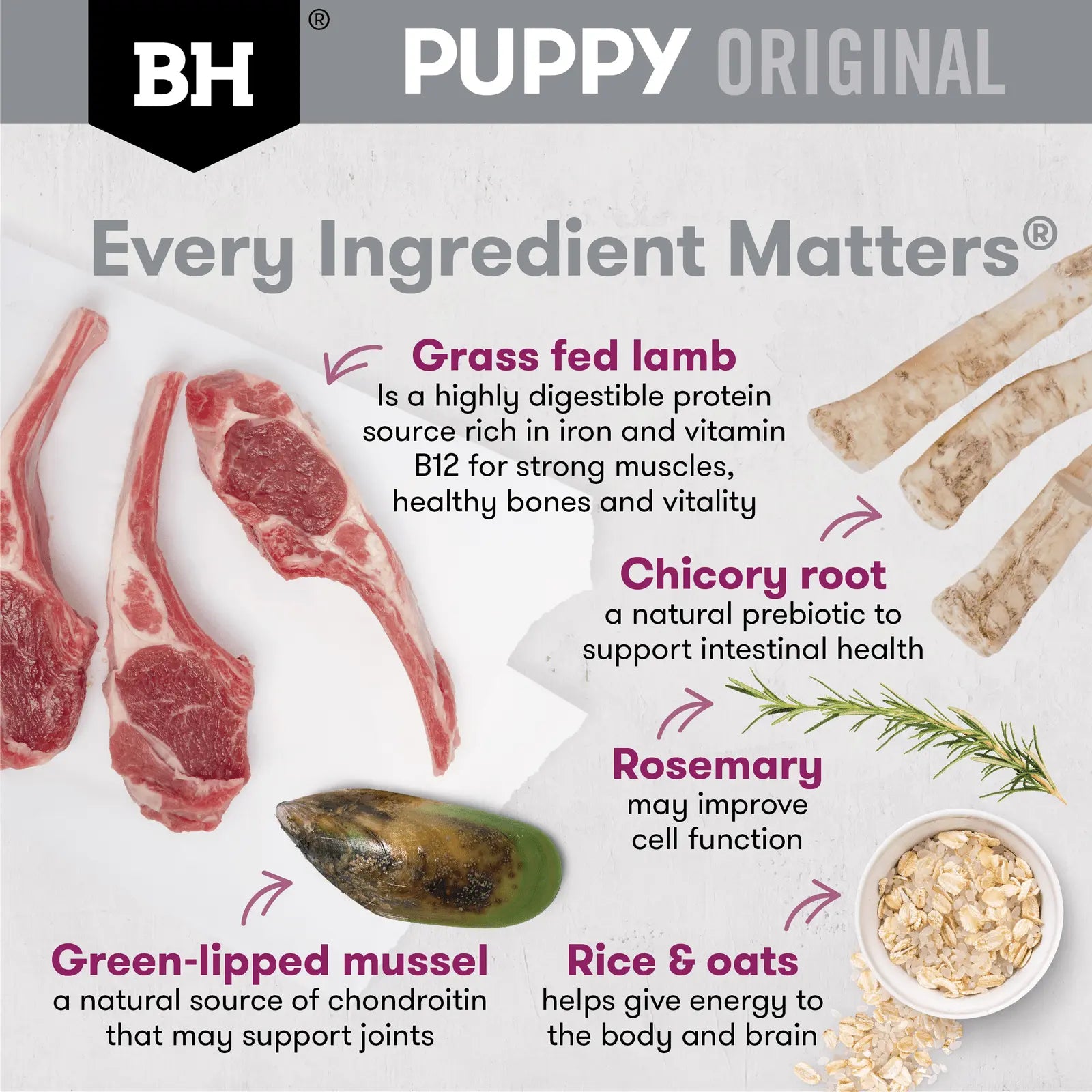 Black Hawk Dog Food Puppy Large Breed Lamb & Rice - Kellyville Pets