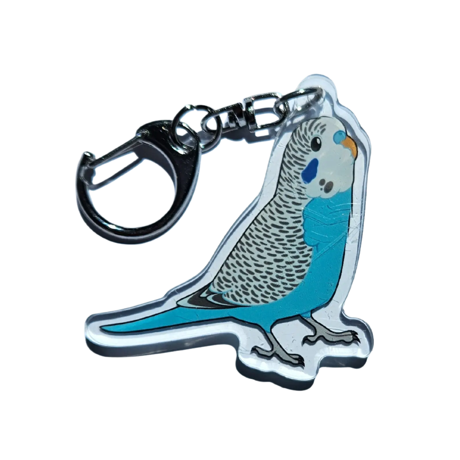 Blue Budgie Acrylic Keychain Hecko Gecko