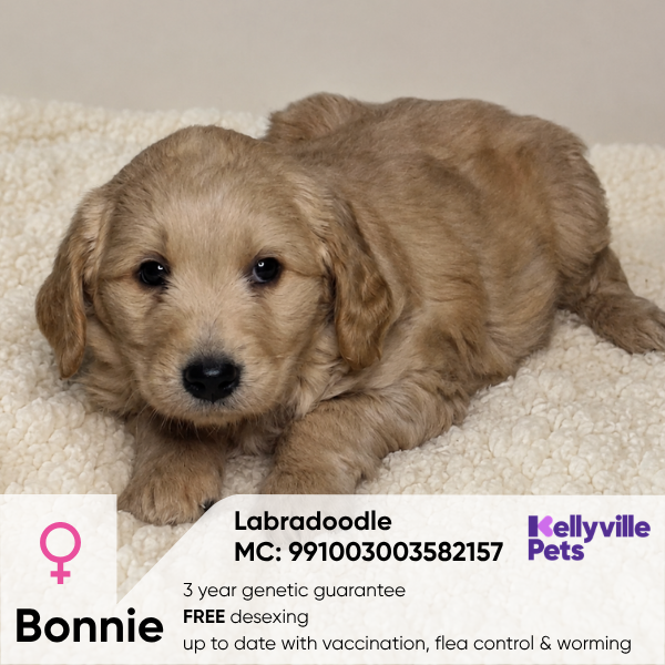 Bonnie