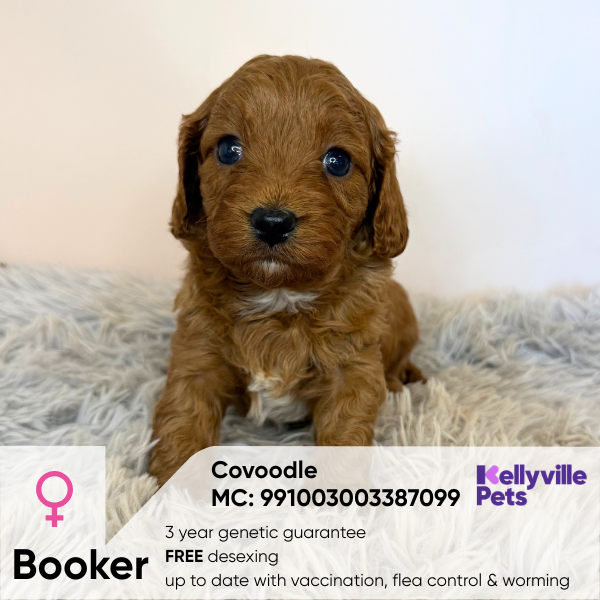 Booker