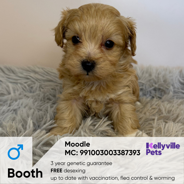 Booth