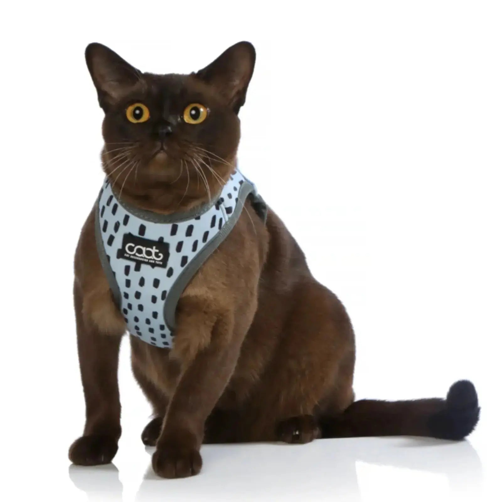 CAAT Harness and Lead Kit - One size - Dash CAAT