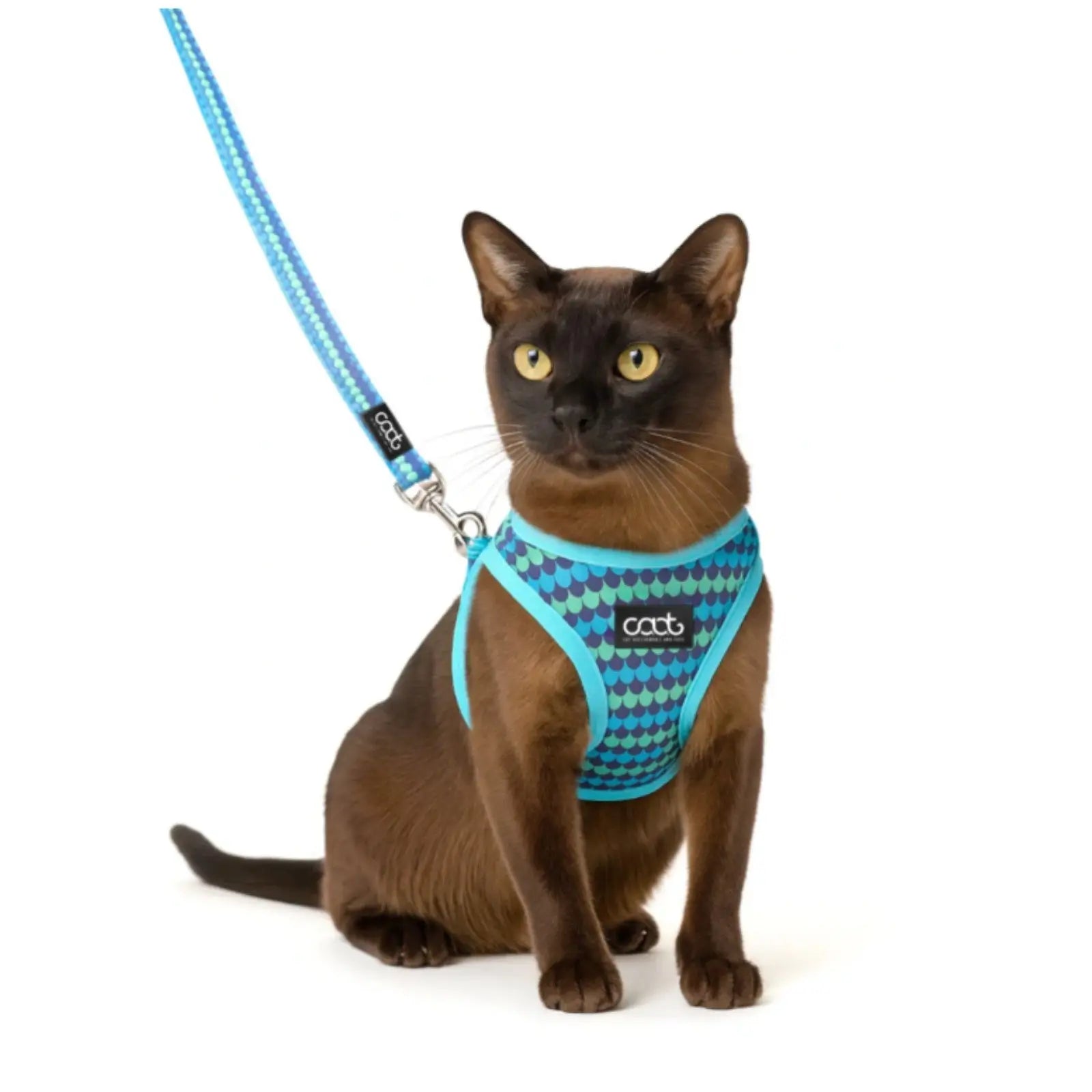 CAAT Harness and Lead Kit - One size - Pluto CAAT