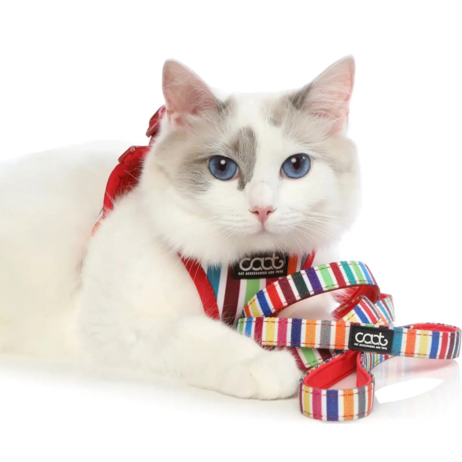 CAAT Harness and Lead Kit - One size - Scooby CAAT