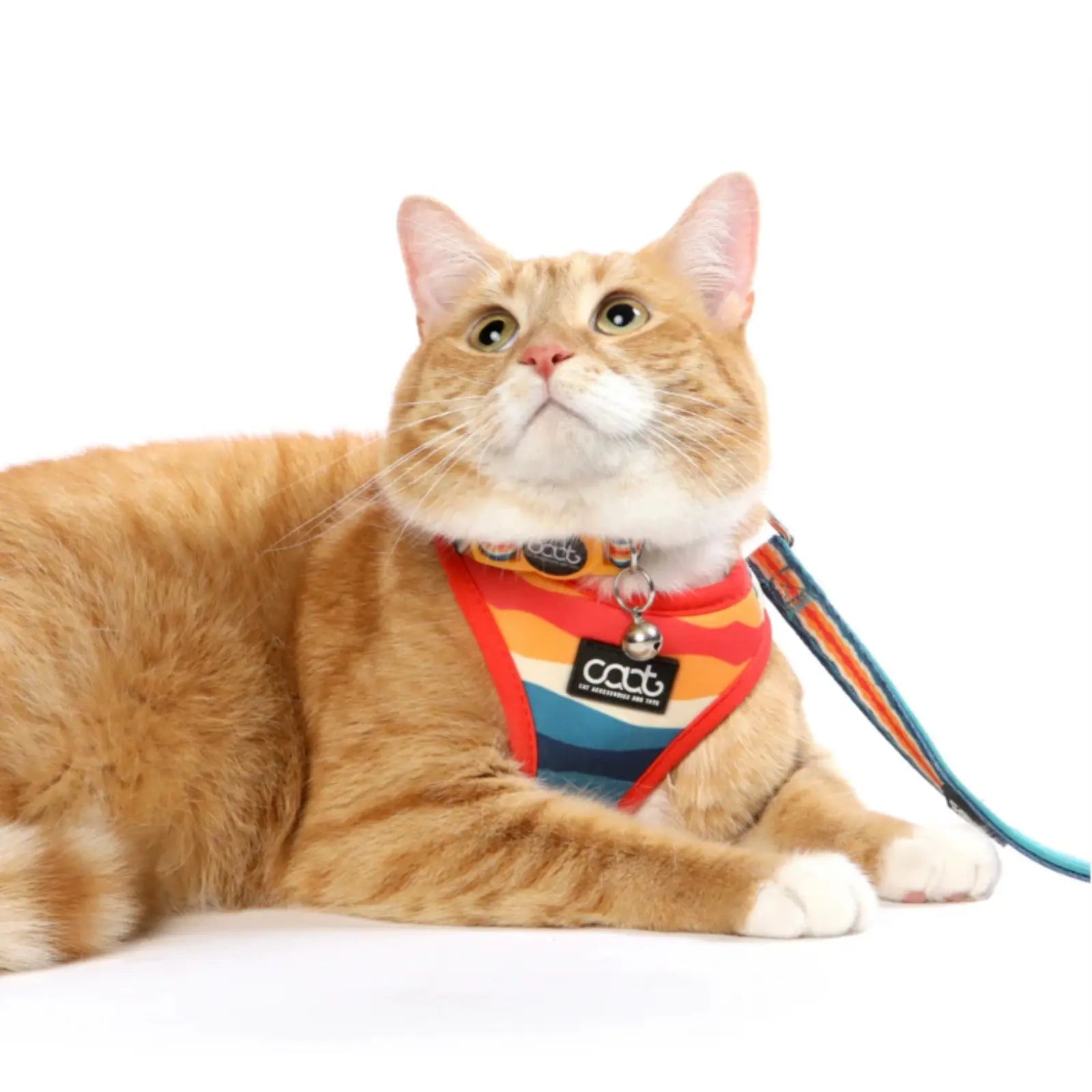 CAAT Harness and Lead Kit - One size - Scout CAAT