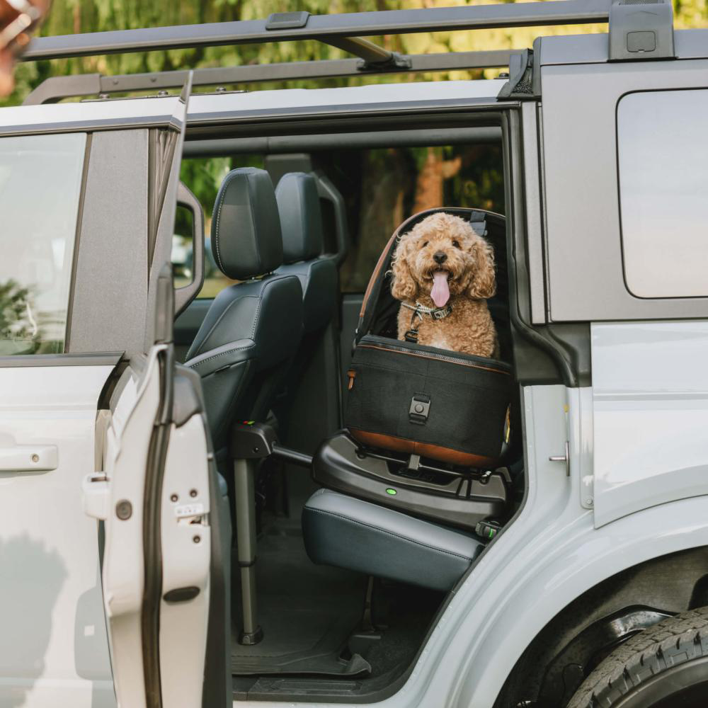 Tavo Maeve Pet Car Seat Carrier