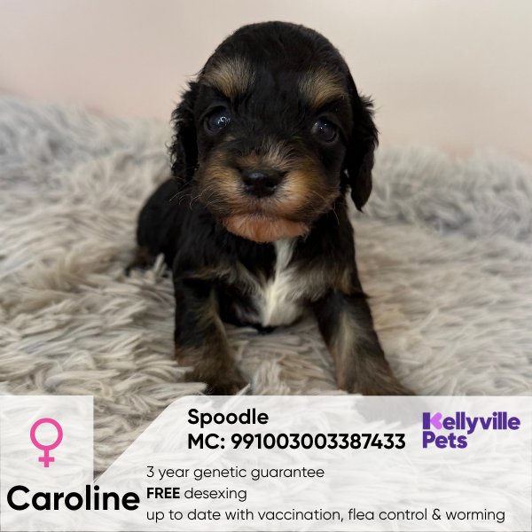 Caroline