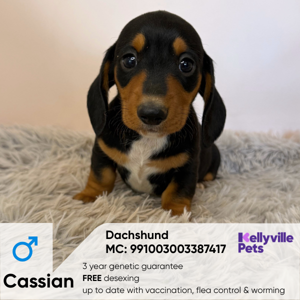 Cassian