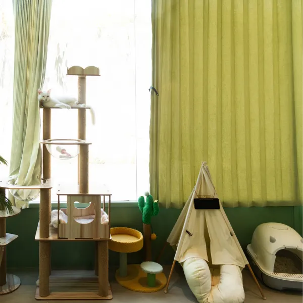 Beds, Scratchers & Litter
