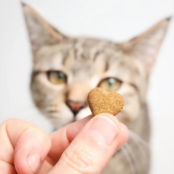 Treats
