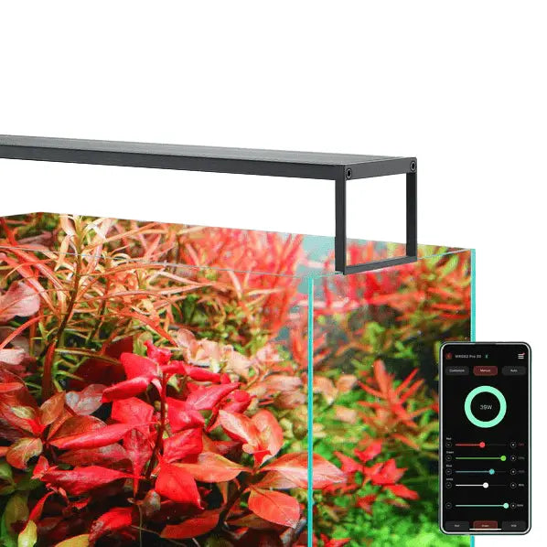 Chihiros WRGB II Slim LED Light - Kellyville Pets