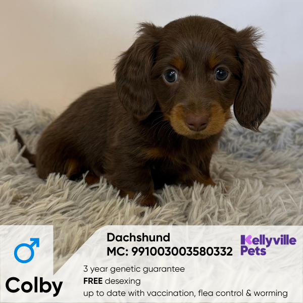 Colby