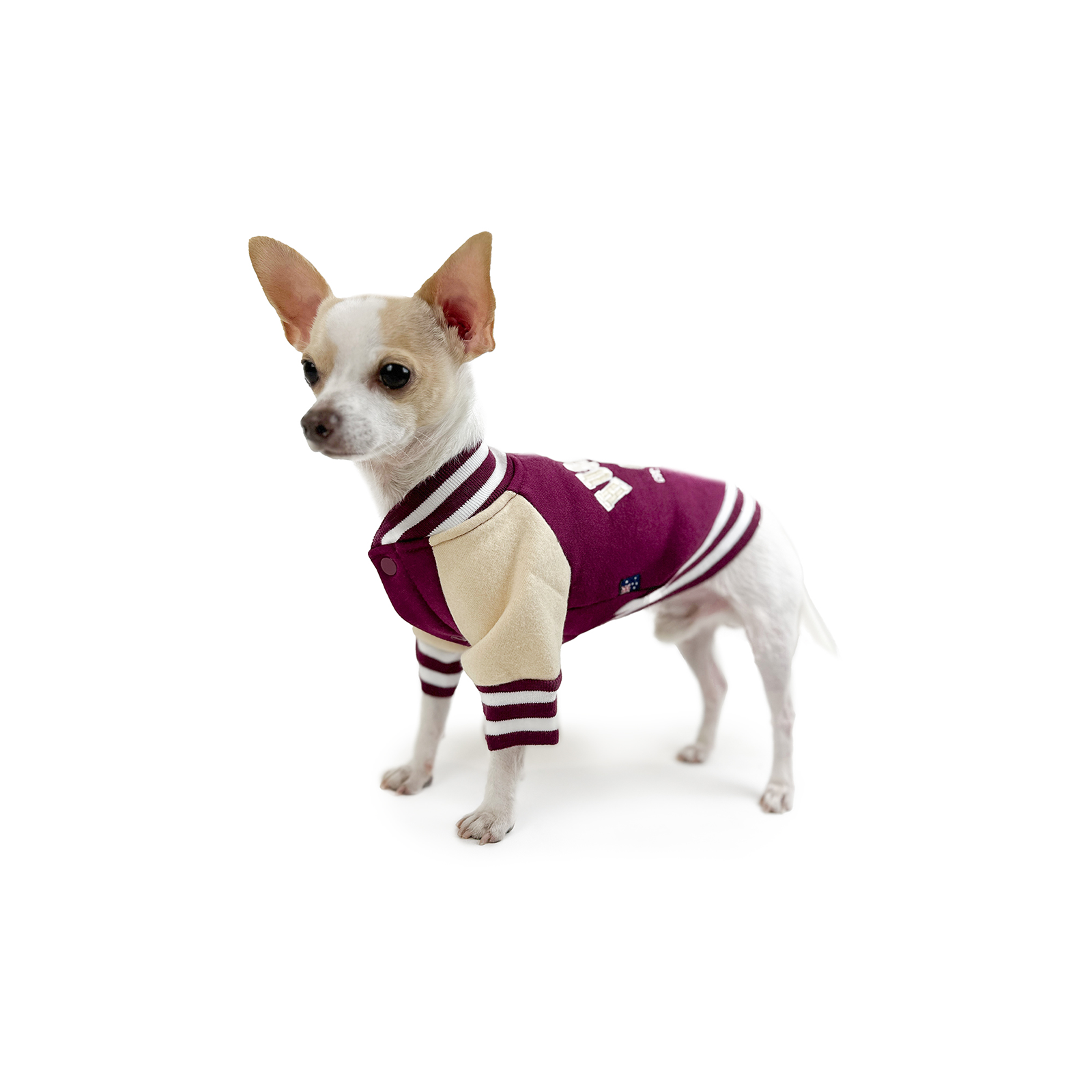 Huskimo Dog Coat College Jacket