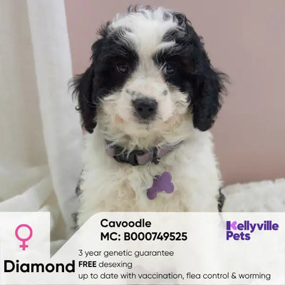 Diamond M