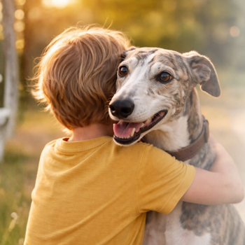 Adopt A Greyhound Day at Kellyville Pets