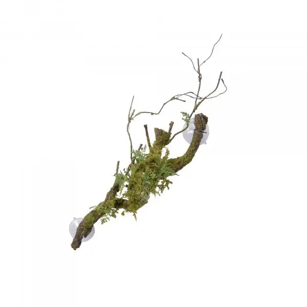 Eco Tech Large Vine Cluster with Moss Lichen - Kellyville Pets