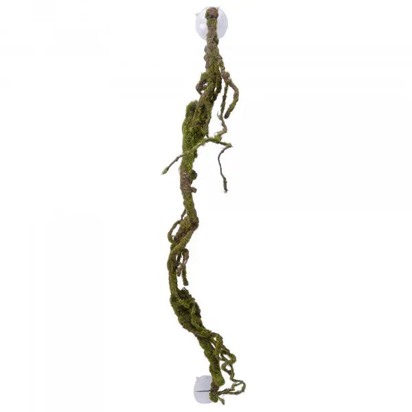 Eco Tech Multiple Twist Vines with Moss Lichen - Kellyville Pets