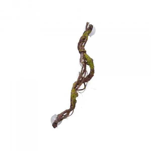 Eco Tech Multiple Vines with Moss Lichen - Kellyville Pets
