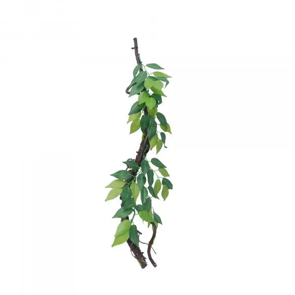 Eco Tech Vine with Ficus Growth - Kellyville Pets