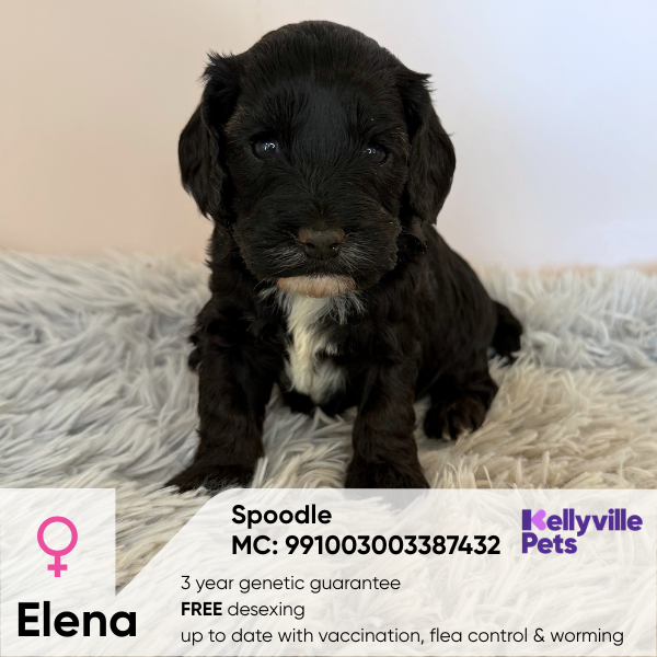 Elena