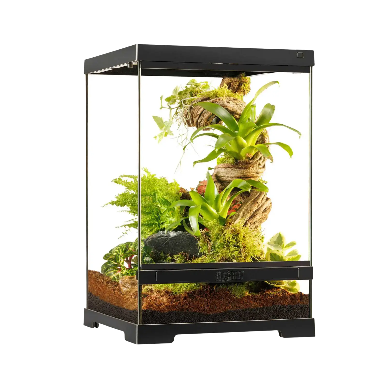 Exo Terra Pro Terrarium X-Small/Tall 30x30x45cm Exo Terra