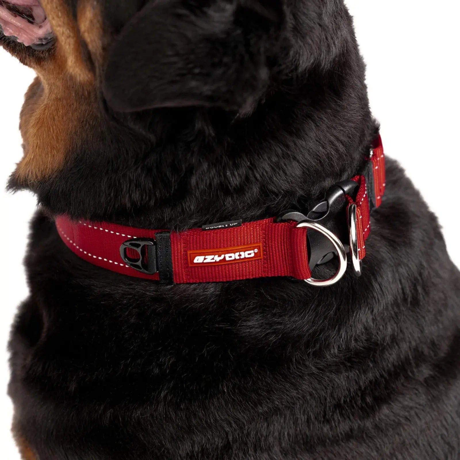 EzyDog Double Up Dog Collar - Purple EzyDog