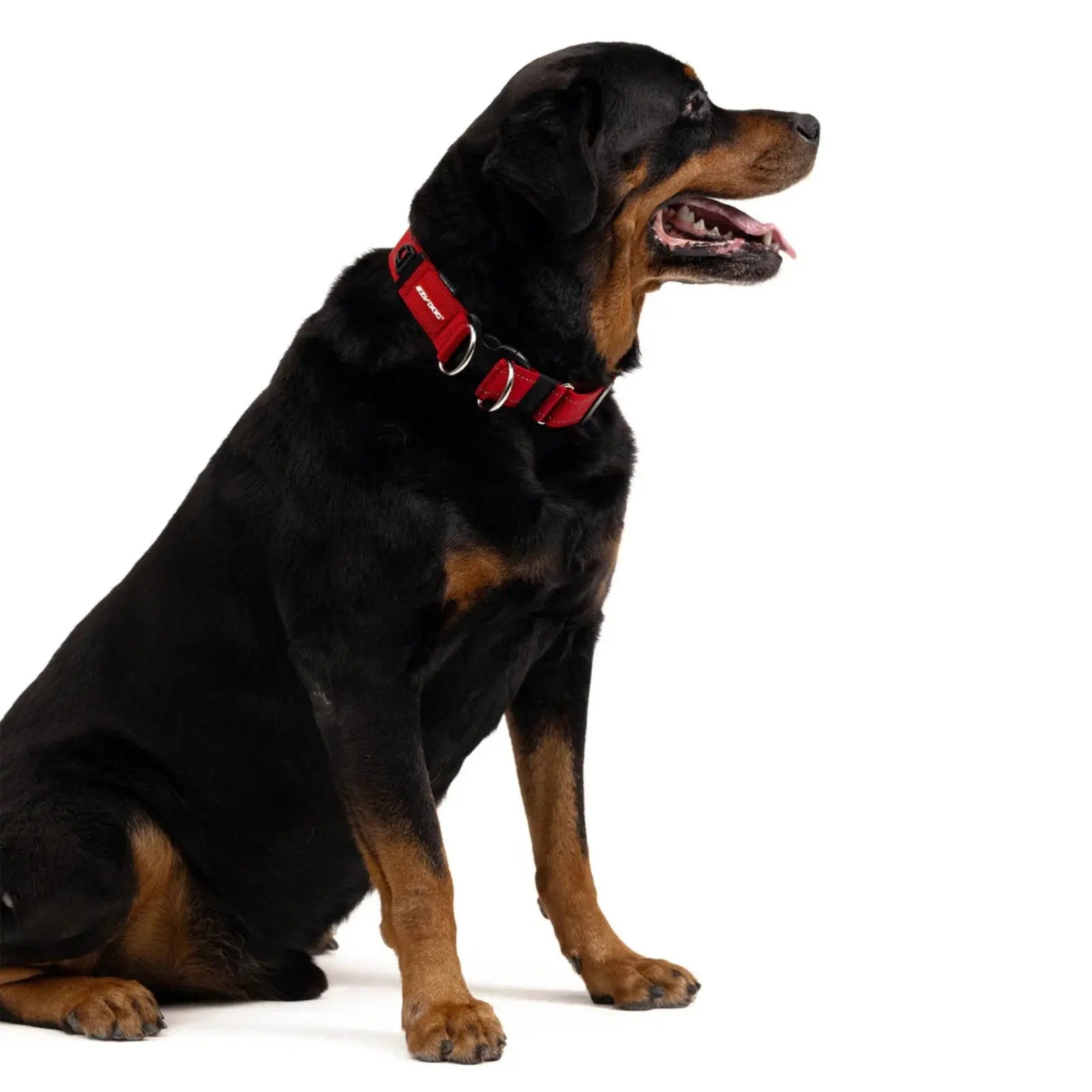 EzyDog Double Up Dog Collar EzyDog