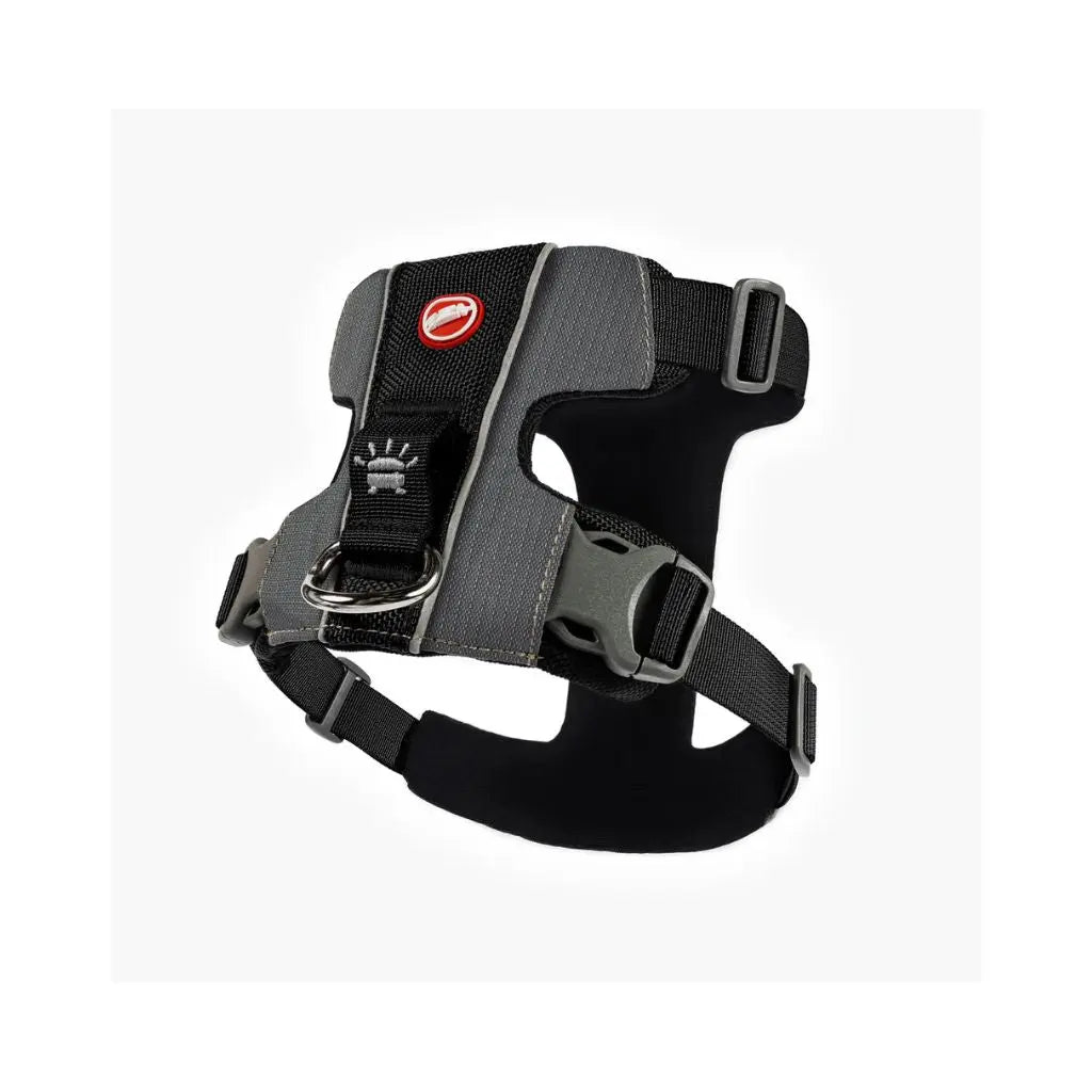EzyDog X-Link Harness EzyDog