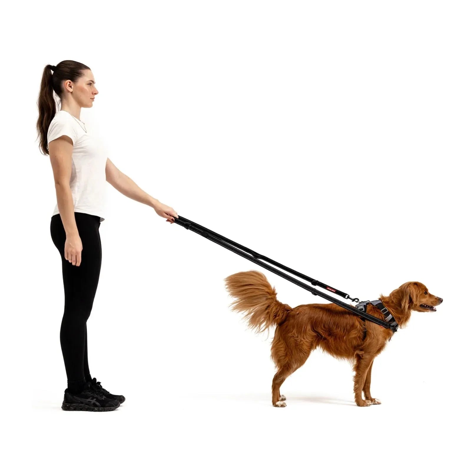 EzyDog Vario 6 Dog Lead